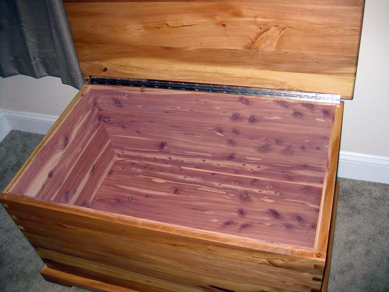 chest 1 img