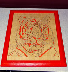 Tiger Portrait by Gary Morris scroll tiger