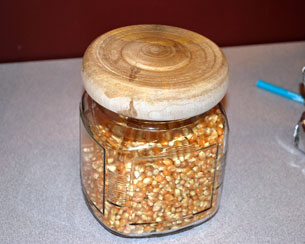 Jar Lid by Sandy Cochran - Jar Lid by Sandy Cochran