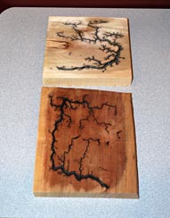 Fractal Burnings by Jim Kilton - Dogwood Fractal Burnings by Jim Kilton