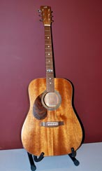 Guitar by Allison Yanover - Mahogany & Walnut Guitar by Allison Yanover