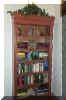 bookcase1.jpg (19133 bytes)