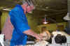 cook8.jpg (33289 bytes)